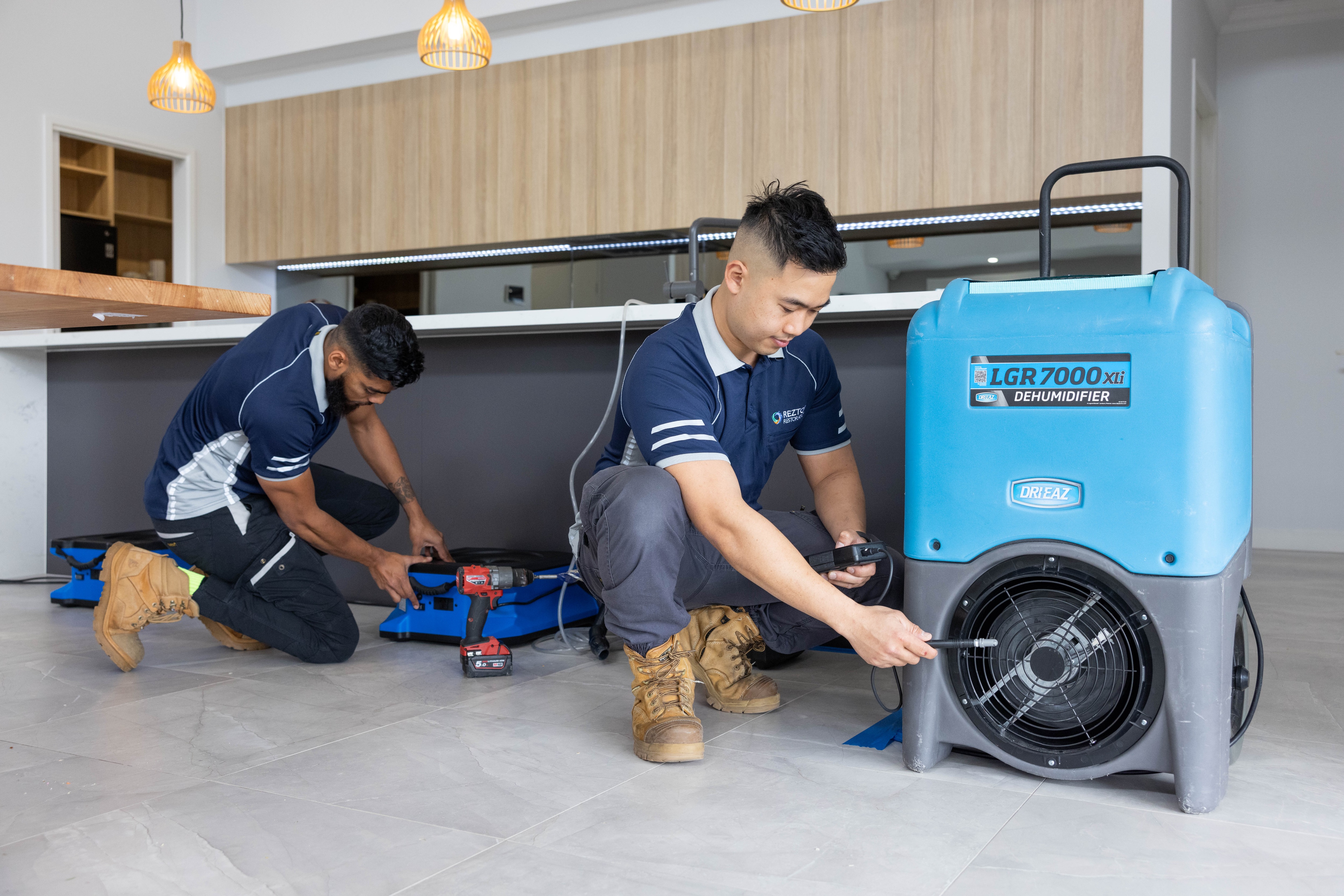 Images Reztor Restoration