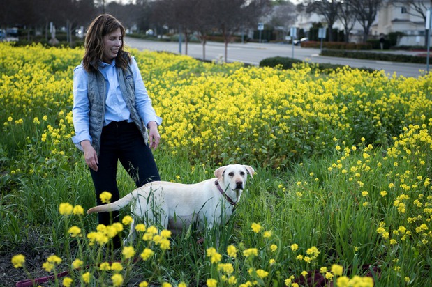 Images Laurie and Joe's Labs