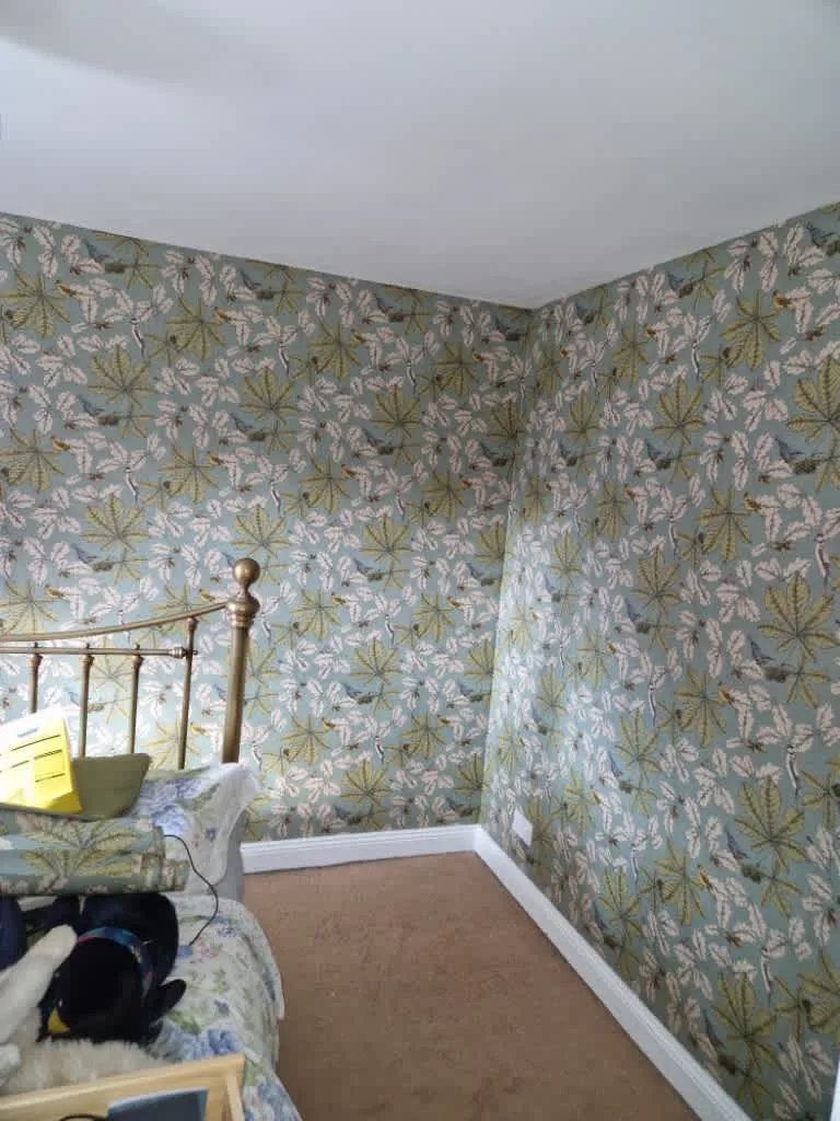 Images Mike Alston - Painting & Decorating