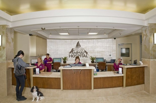 Images VCA Westlake Village Animal Hospital