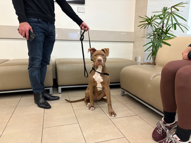 Images VCA West Los Angeles Animal Hospital