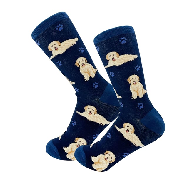 Images Paw Envy