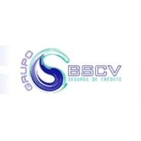 GRUPO BSCV Logo