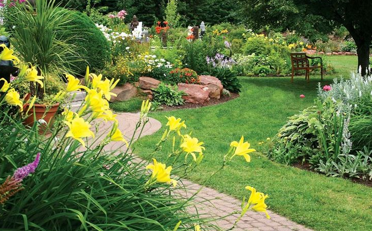 Images Il Pinolo Giardinaggio