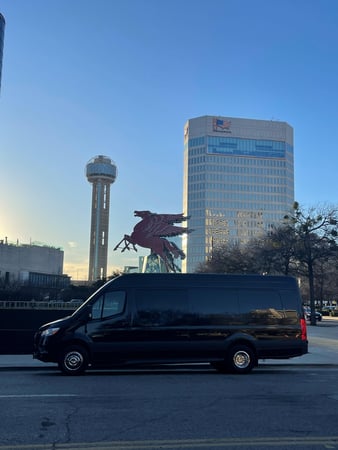 Images D5 Professional Services