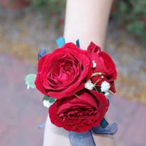 Liv Gracefully Blooms Image