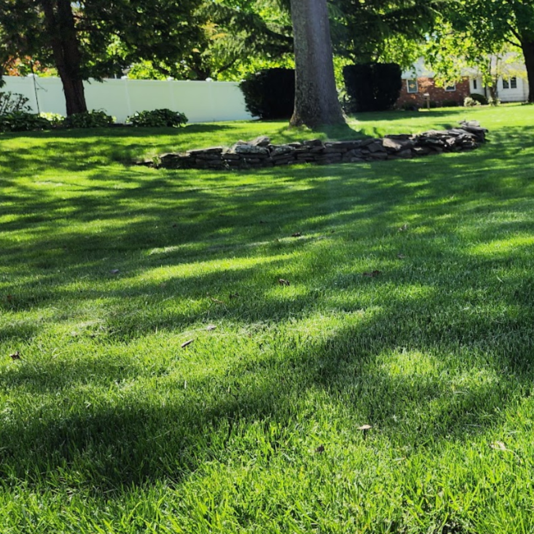 Making Solid Ground Lawn Care Inc