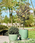 Images Bloom Marbella S.l.