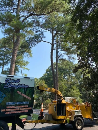 Images Simply Trees & More LLC