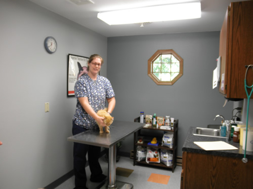 Images Prairie Ridge Veterinary Clinic