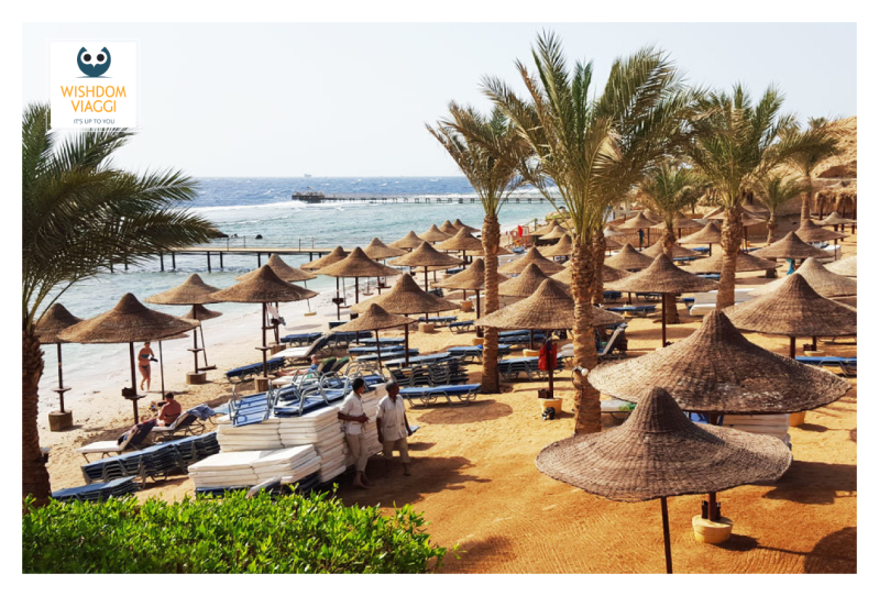 Images Wishdom Viaggi