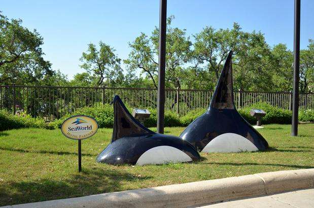 Images Staybridge Suites San Antonio Sea World by IHG