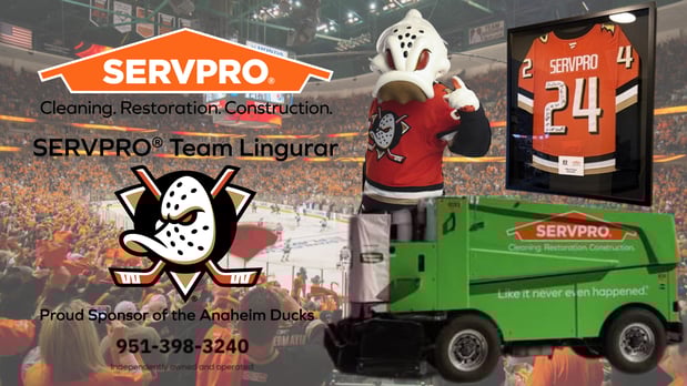 Images SERVPRO of Temecula