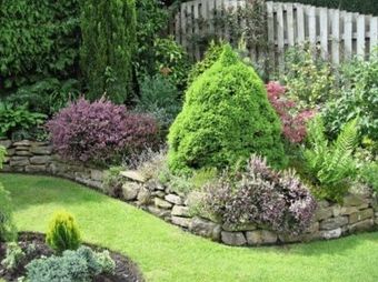 Images L'Isola Verde - Giardiniere Potatura Alberi Irrigazione