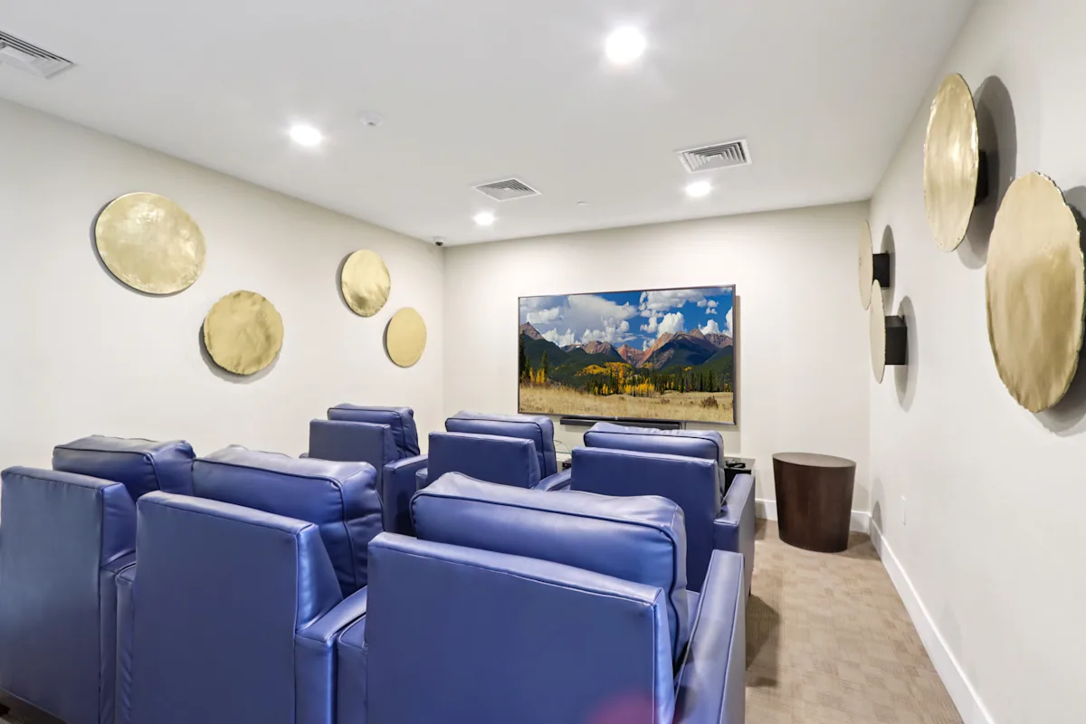 Theater Room