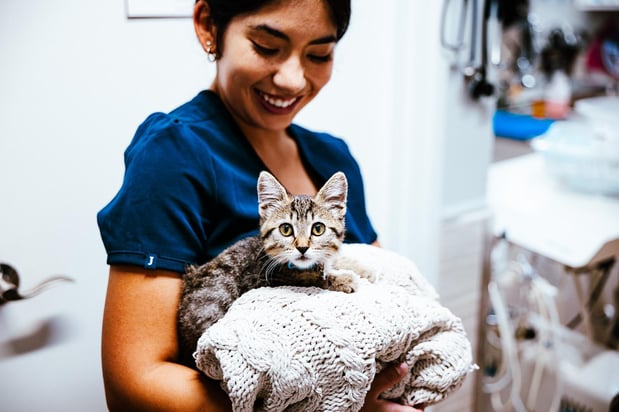 Images Imperial Animal Hospital