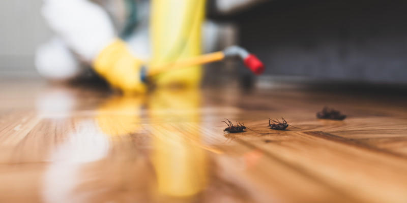 Start off the pest control process with an inspection performed by our team.