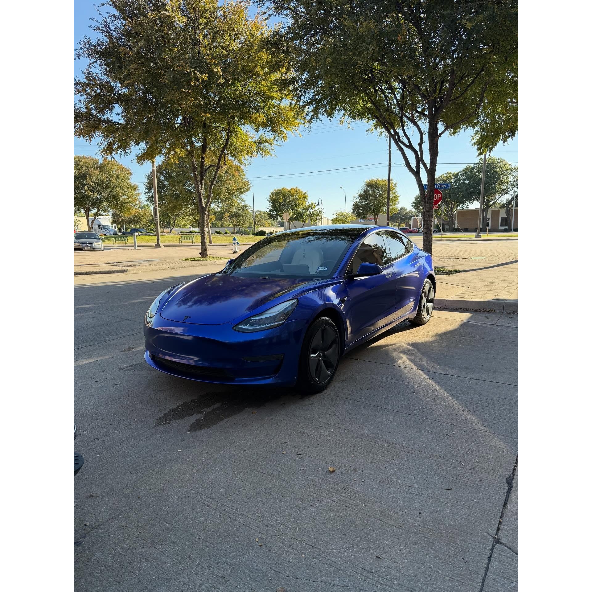 Tesla Model 3 detailed by Prizm Detailing in Dallas, Texas. Exterior detailing service enhanced the paint finish, cleaned the wheels and glass, and restored a sleek glossy appearance for a clean modern look.