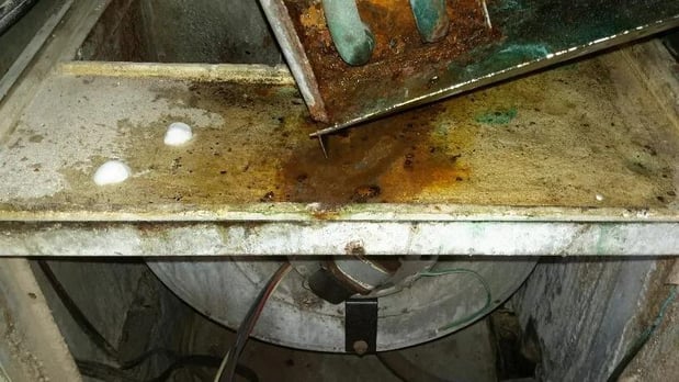 Images Purair Hawaii