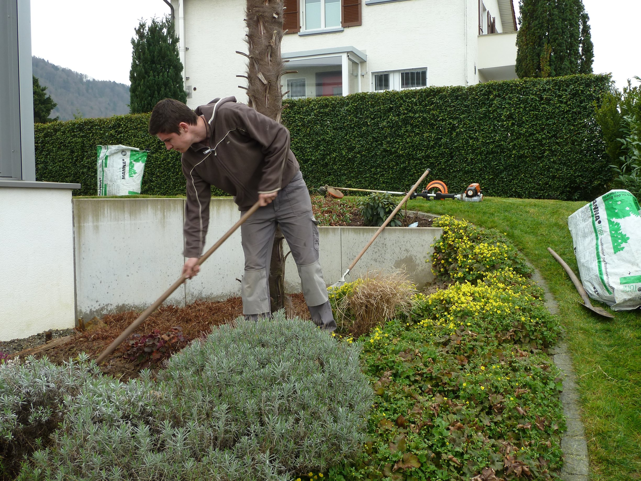 Blumen Ley, Spitalstrasse 53 in Luzern