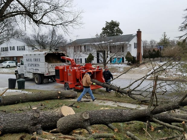 Images Keil Tree Experts Inc