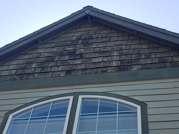 Images C & G Painting