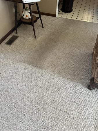 Images Allen's Carpet Care Plus