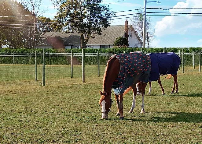 Images North Fork Equestrian
