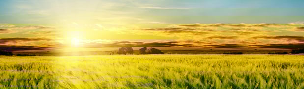 Images Schroeder-Stark-Welin Funeral Home & Cremation Services