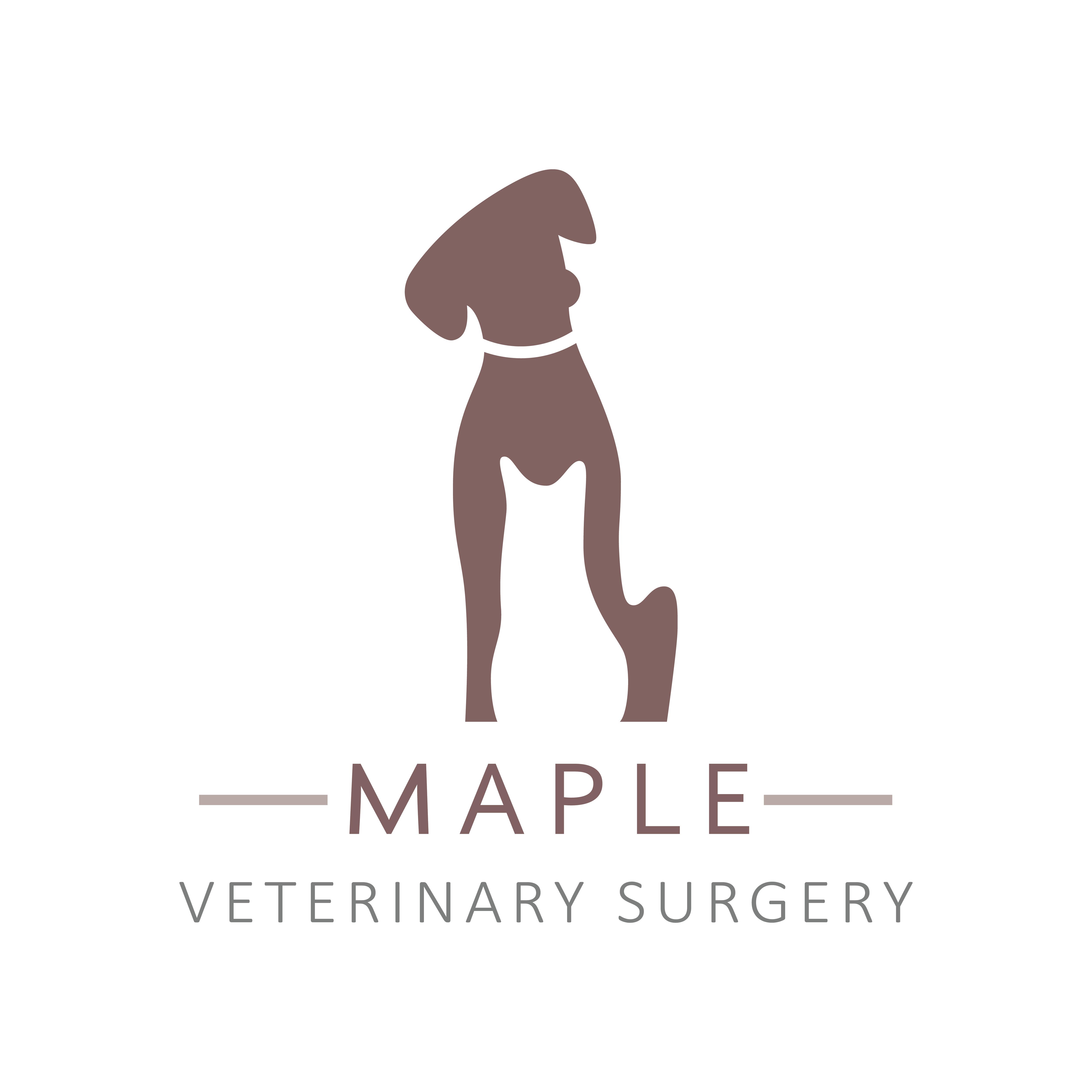 Maple Veterinary Surgery, Halton View Logo