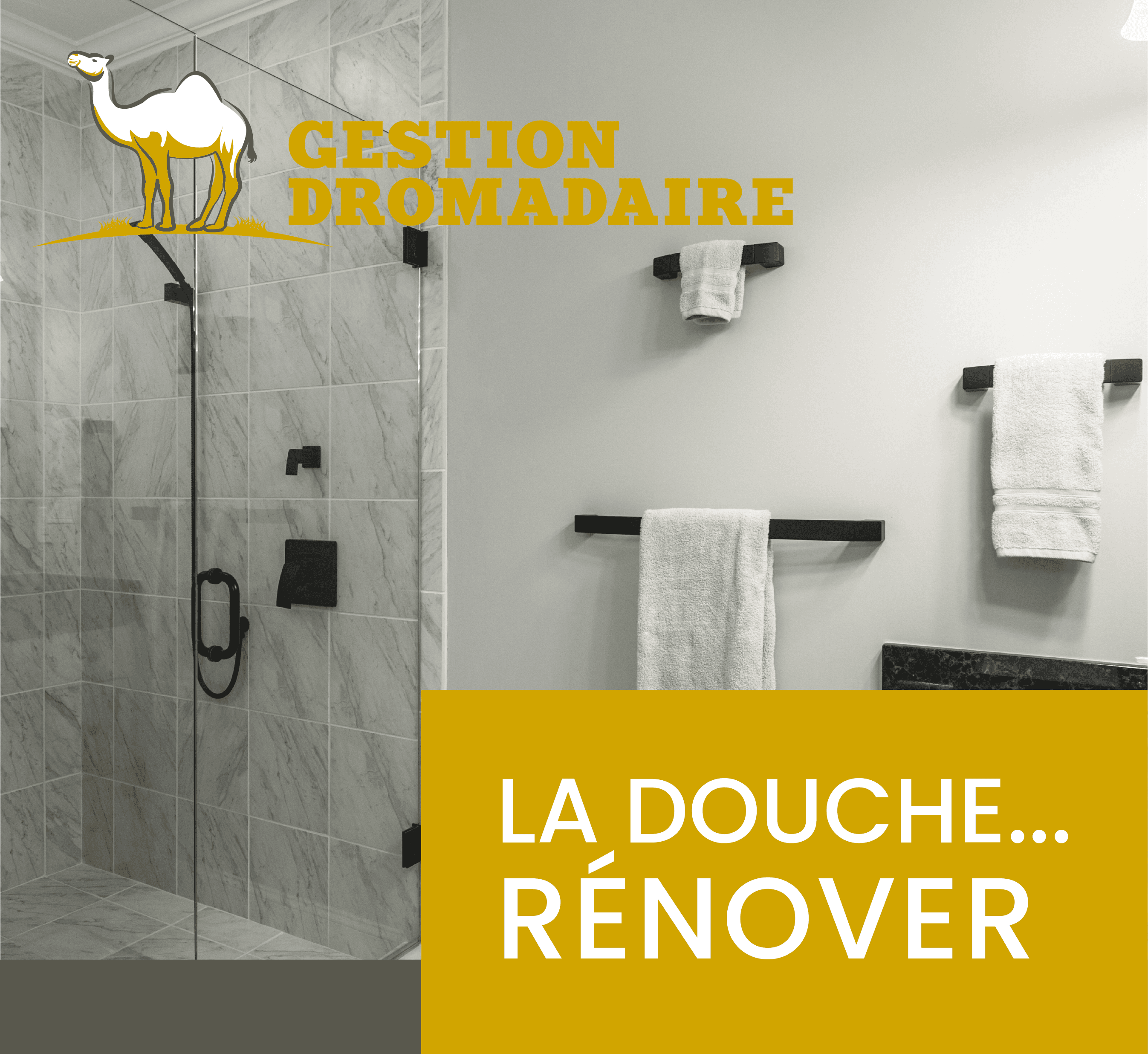 Images Gestion Dromadaire Inc
