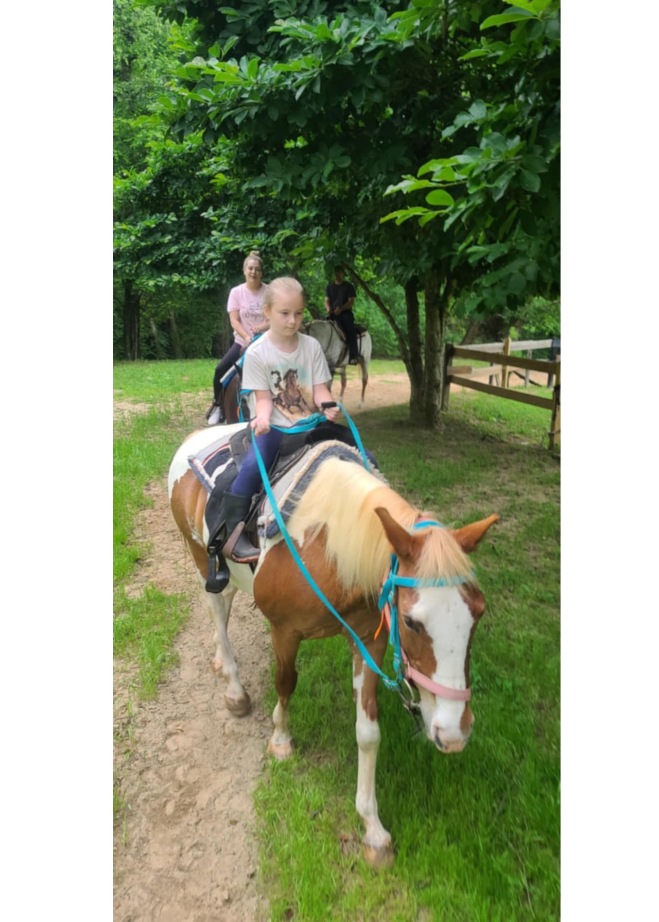 Horses for all sizes!