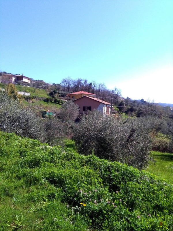Images Casa Famiglia Anziani Villa Degli Ulivi