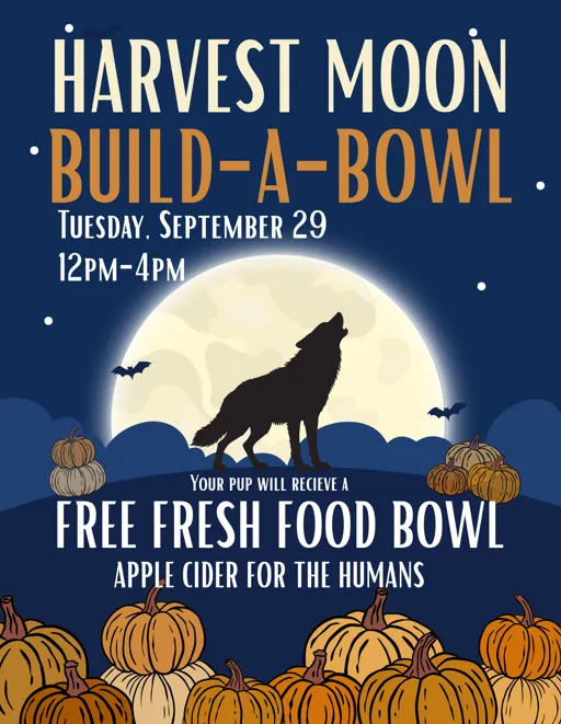 Image of Local Pet Event Hervest Moon Build a Bowl Nearby