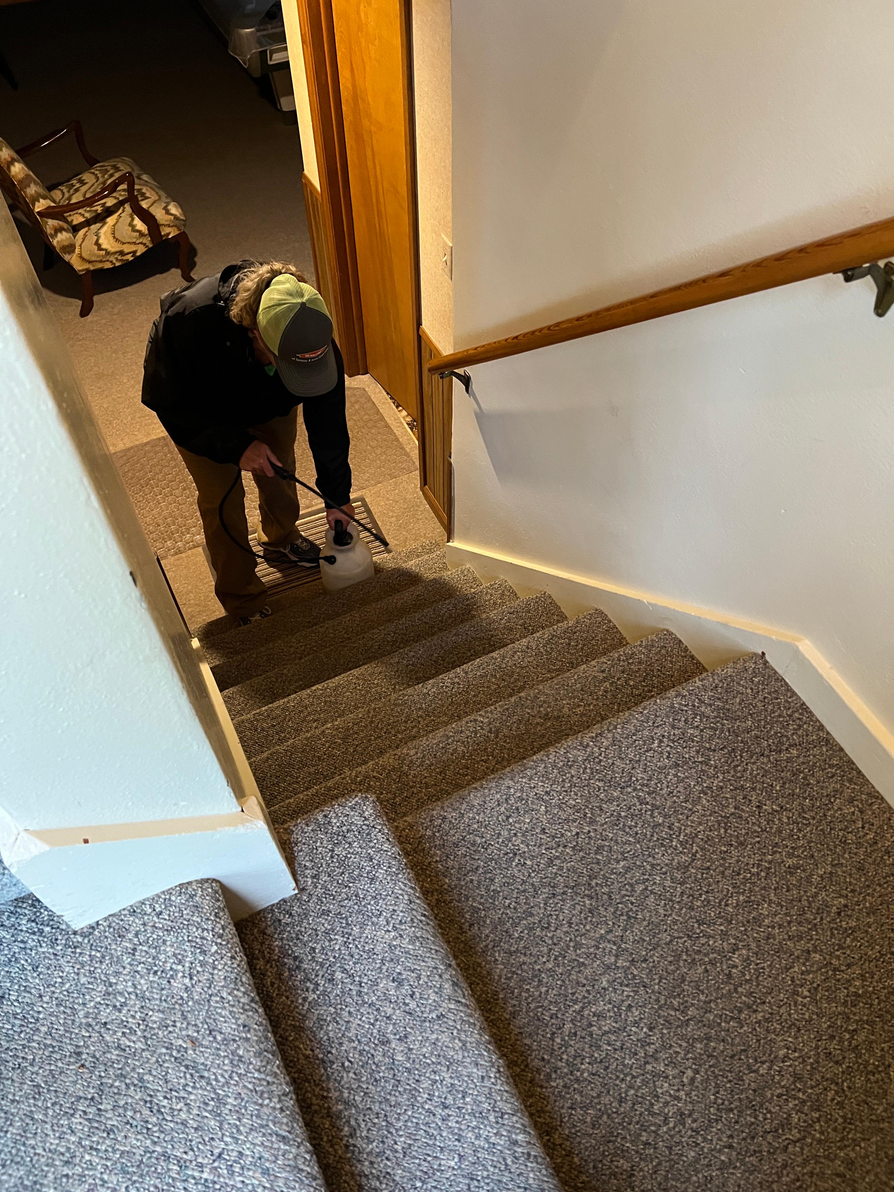 Our professional cleaning can address moderate and heavy soil conditions in your carpets.