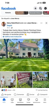 Images Meraz Master Painting