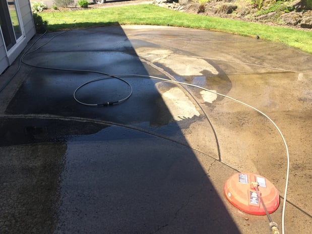 Images Rite Size Pest Control and Moss Removal