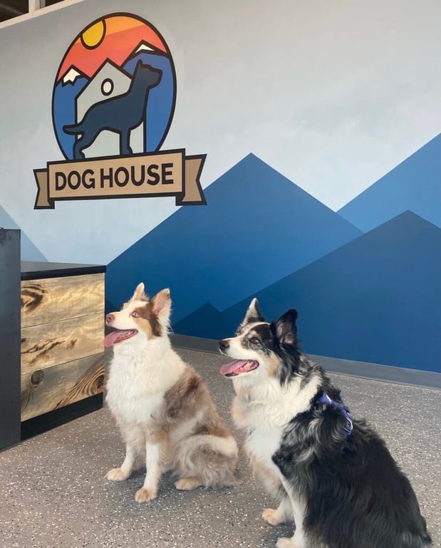Images Dog House Denver