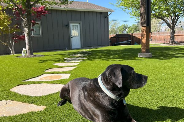 Images Tough Turf and Landscaping
