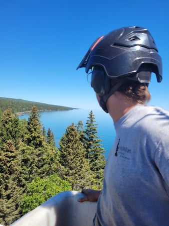 Images McMillan Tree Service