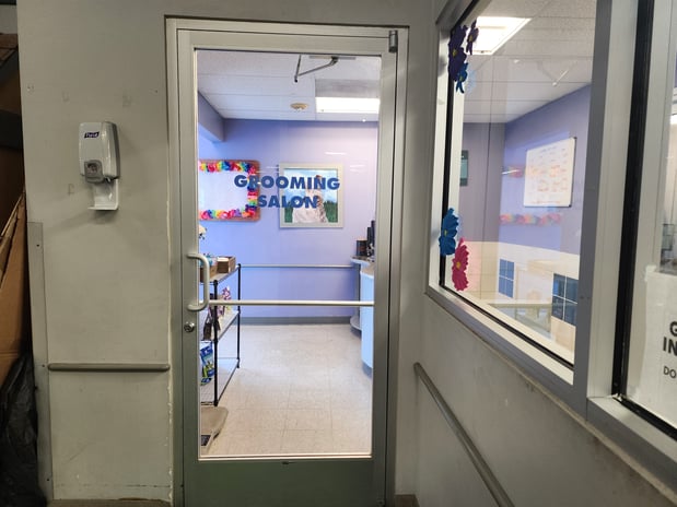 Images Petco Grooming
