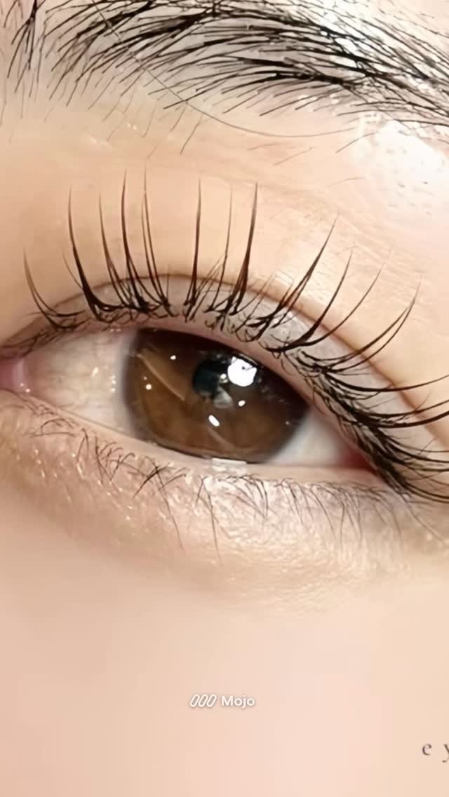 Images eyelash salon LIALI