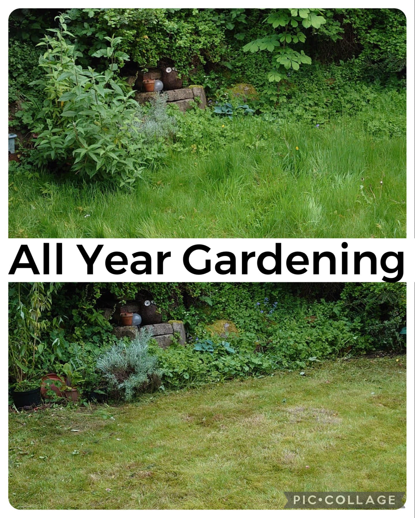 Images All Year Gardening