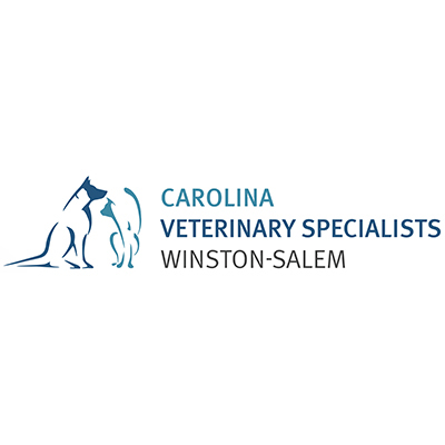 Carolina Veterinary Specialists Winston-Salem