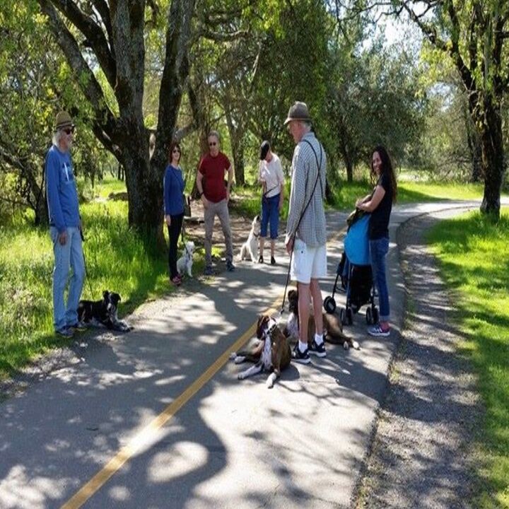 Images Dune Dogs K9 Training
