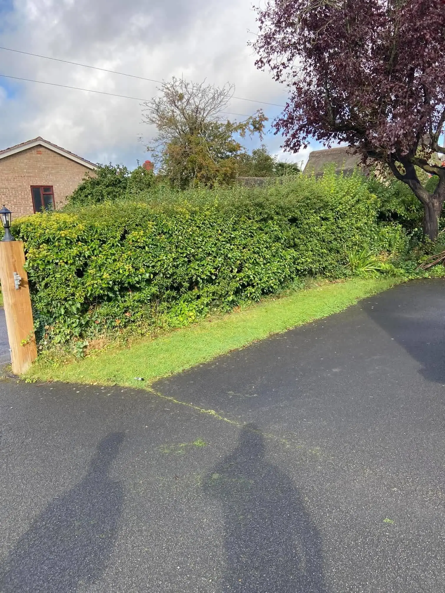 Images Oakwood Tree & Landscaping Services