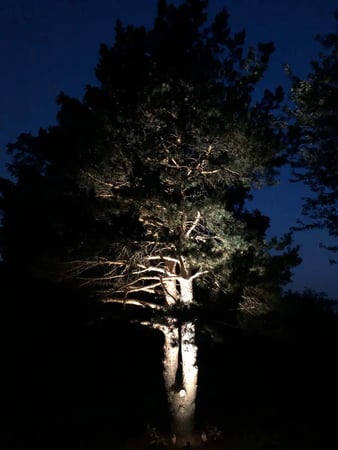 Images Premier Lighting