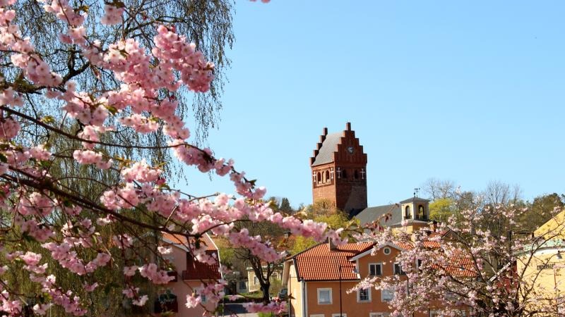 Images Pastorsexpedition, Kyrkoförvaltning o. Kyrkogård