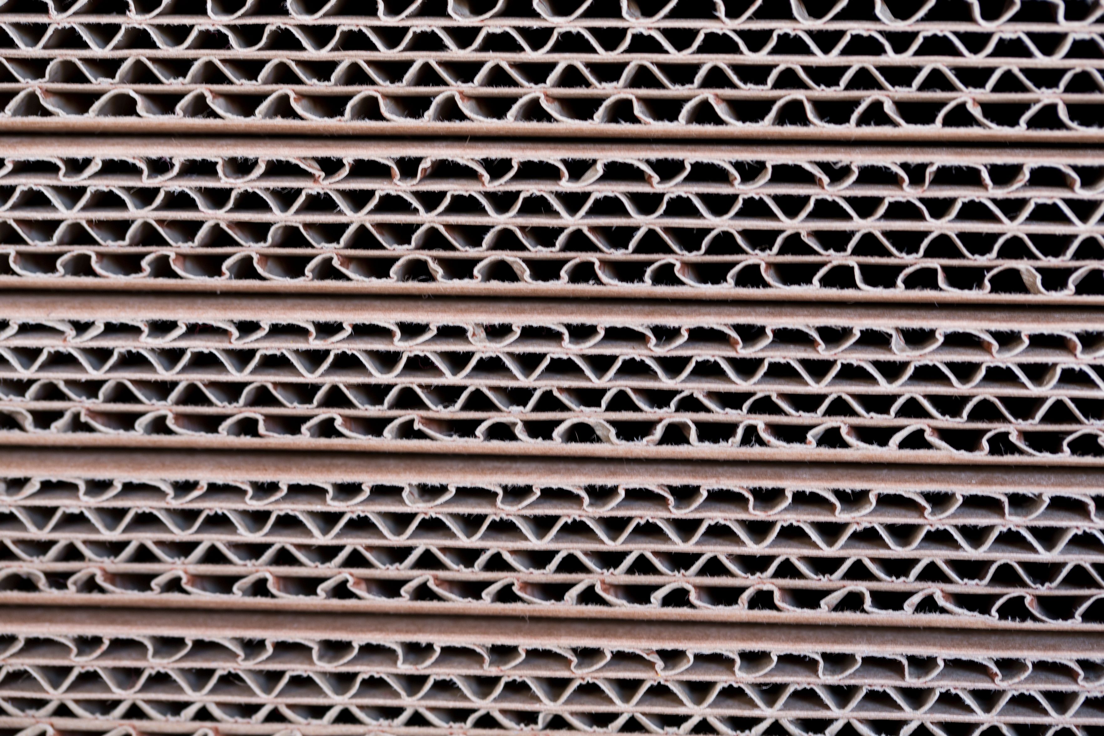 Bilder egolf verpackungs ag