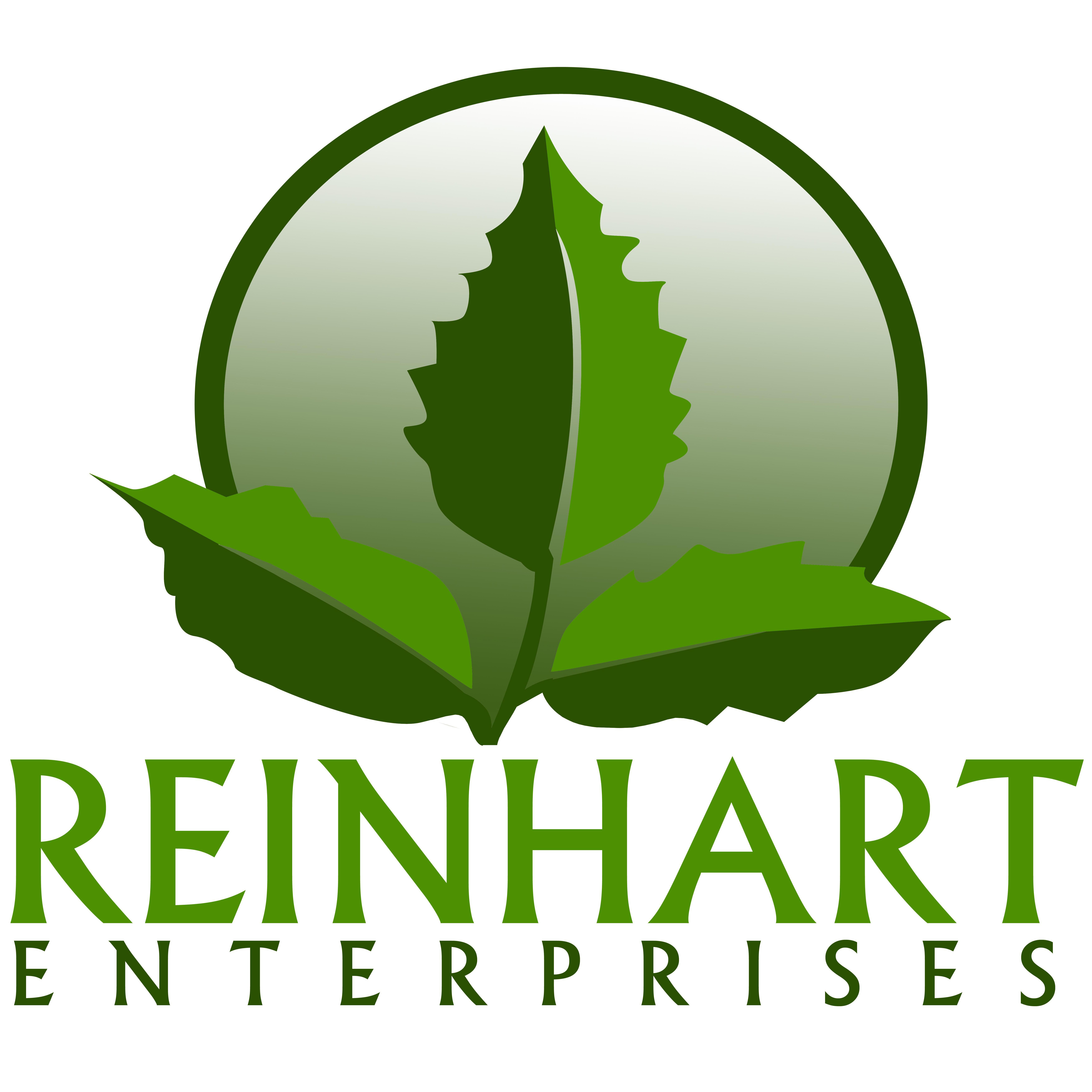 Reinhart Enterprises Landscaping and Lawn Care, LLC Amherst (716)207-2352